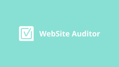 WebSite Auditor - Search Engine Optimization