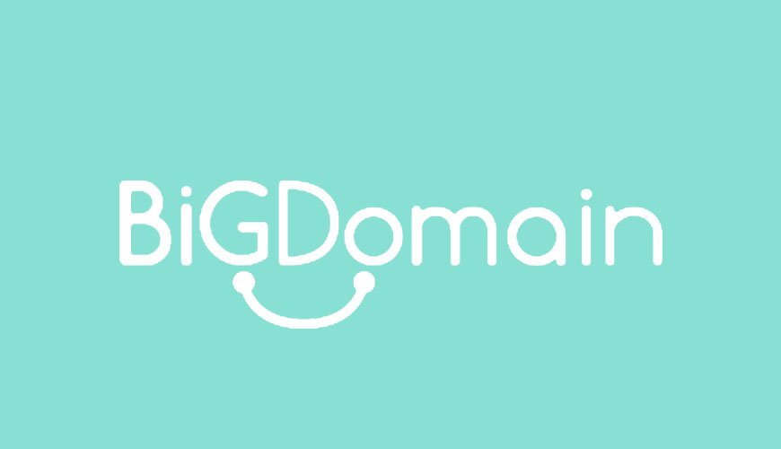 Big Domain - 網域 Domain 供應商清單