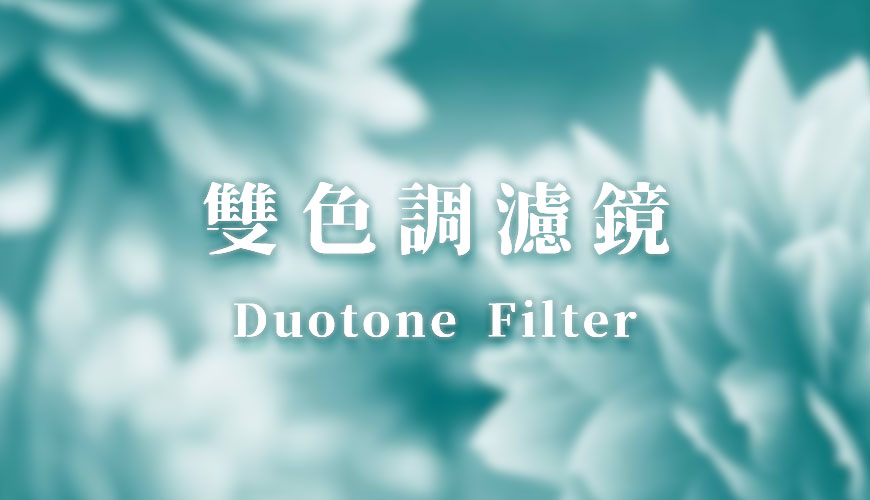 什麼是 WordPress 雙色調濾鏡 (Duotone Filter) 功能？指定兩種色彩圖片風格