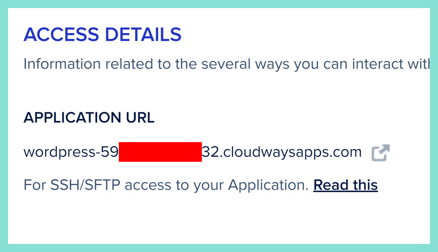 應用程式網址 (Application URL)