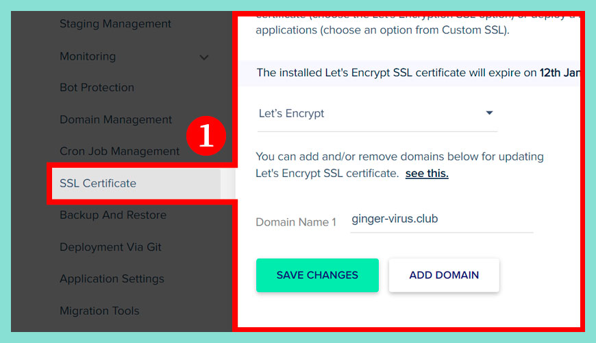 設定 Cloudways 的 SSL Certificate 選項