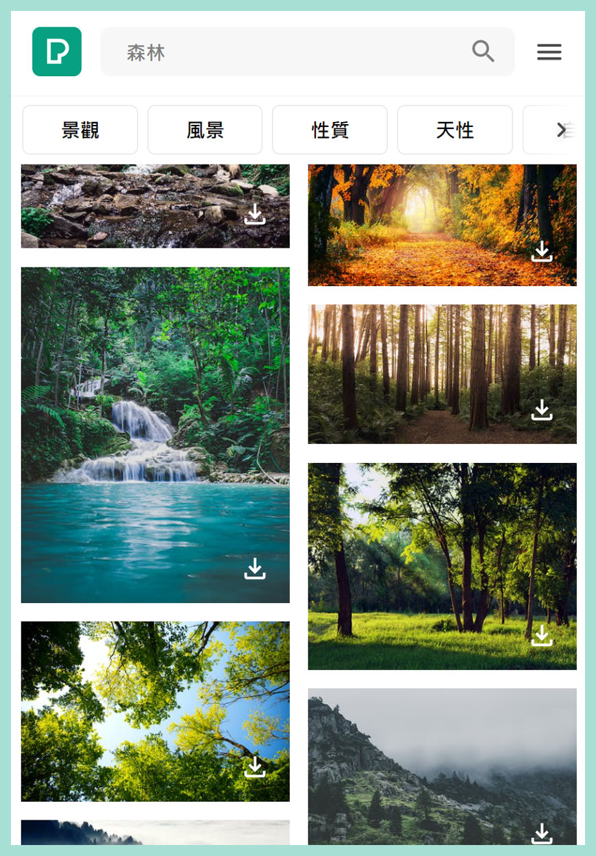 森林、溪流和植物類別圖片