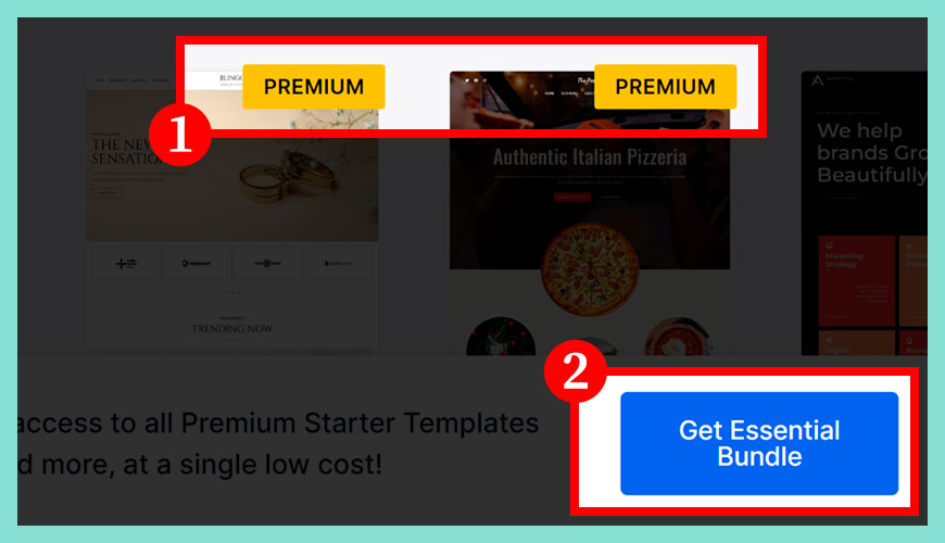 Premium Starter Templates 是什麼？